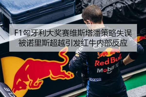 F1匈牙利大奖赛维斯塔潘策略失误被诺里斯超越引发红牛内部反应