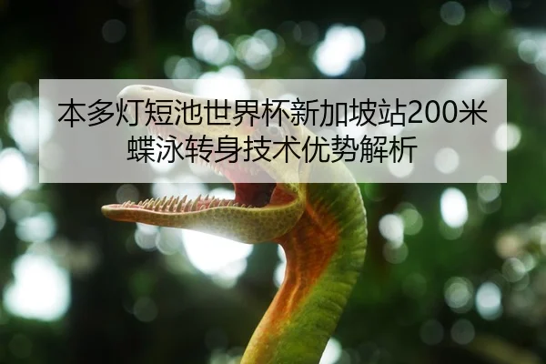 ben-duo-deng-duan-chi-shi-jie-bei-xin-jia-po-zhan-mi-die-yong-zhuan-shen-ji-shu-you-shi-jie-xi-2-801.jpg
